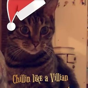 Meet your Posher, Arfina